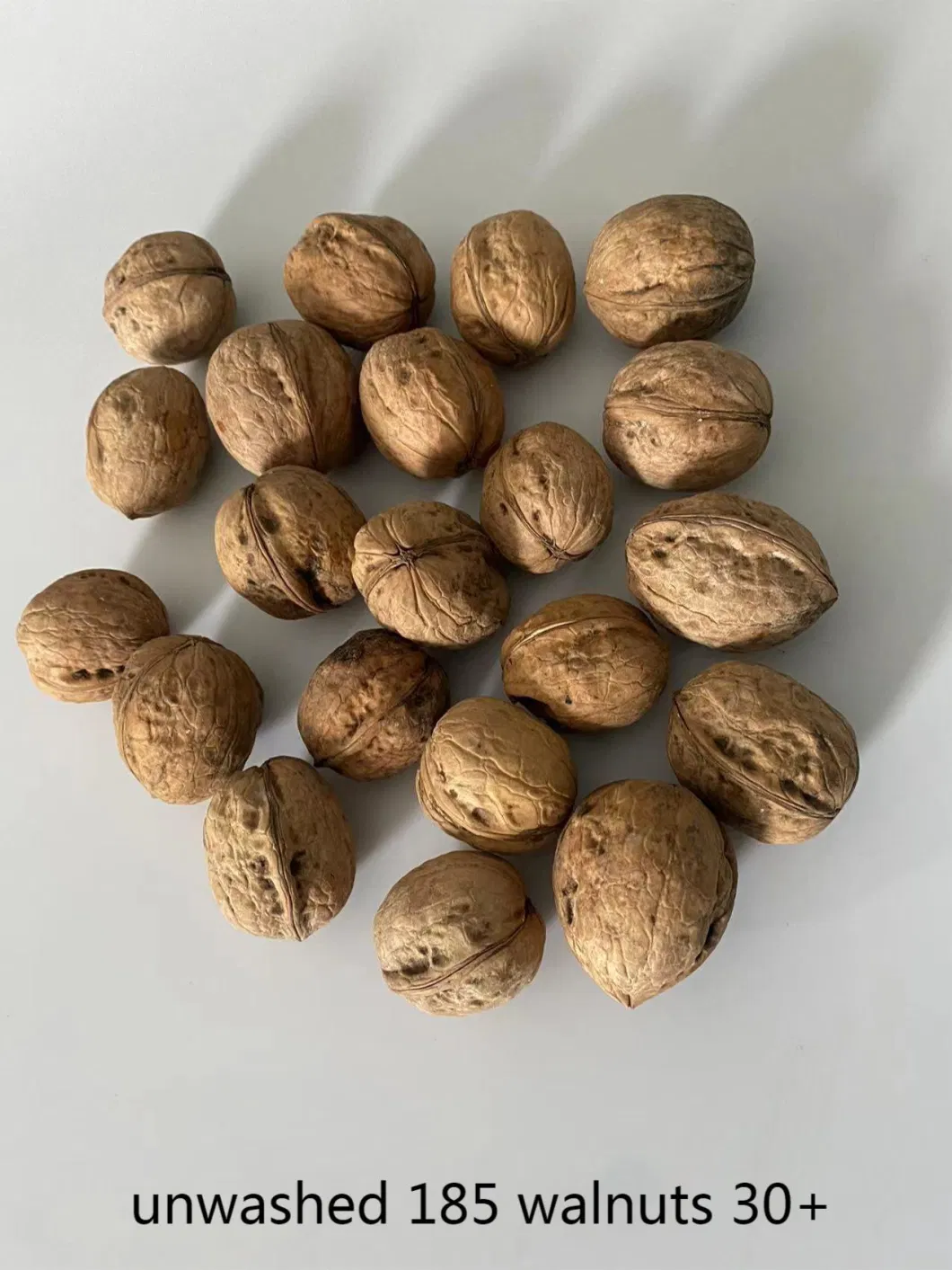 185 Light Kernels Peeling Walnuts 1/2 Walnut Kernel Supplier